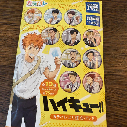 Haikyuu Color Palatte Detour Badge [Random/Full Set]